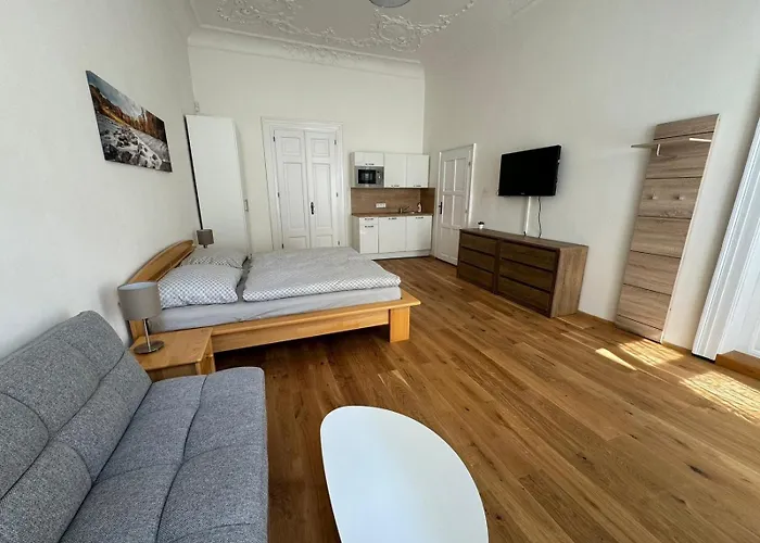 Palackeho Apartment