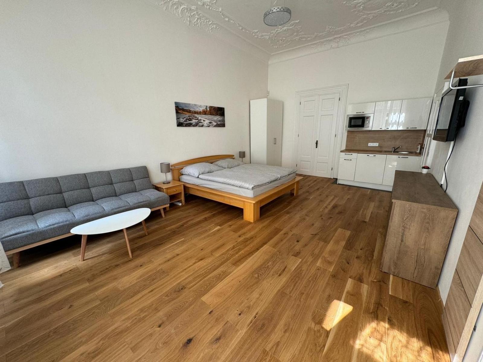 Palackeho Appartement