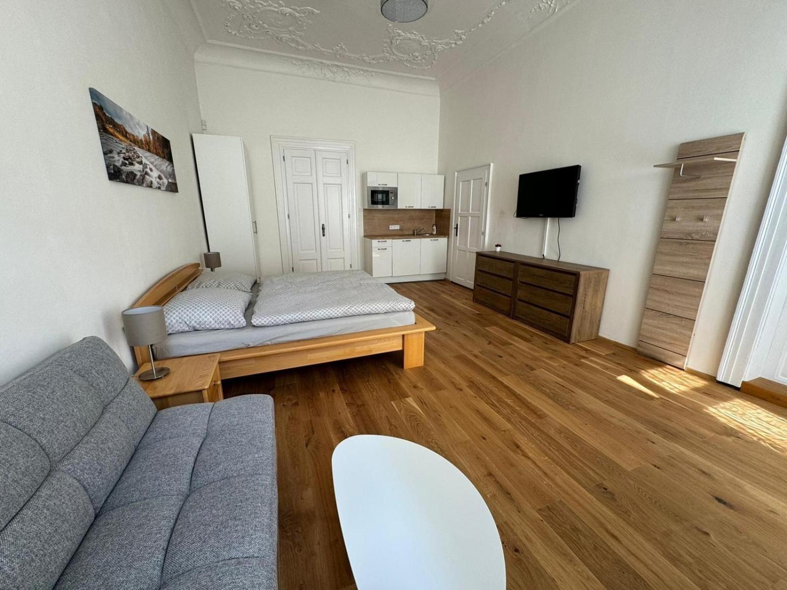 Palackeho Appartement *